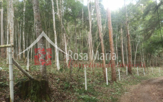 Excelente terreno na Fazenda Bela Vista REF T001